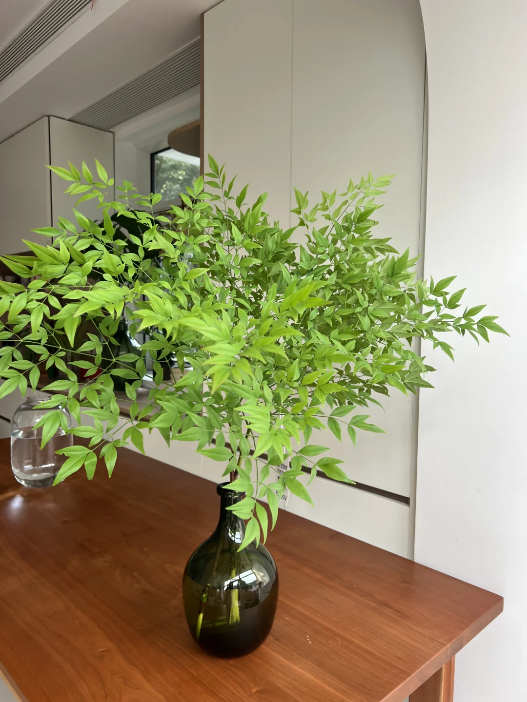 夏日室内的一抹清凉🌿