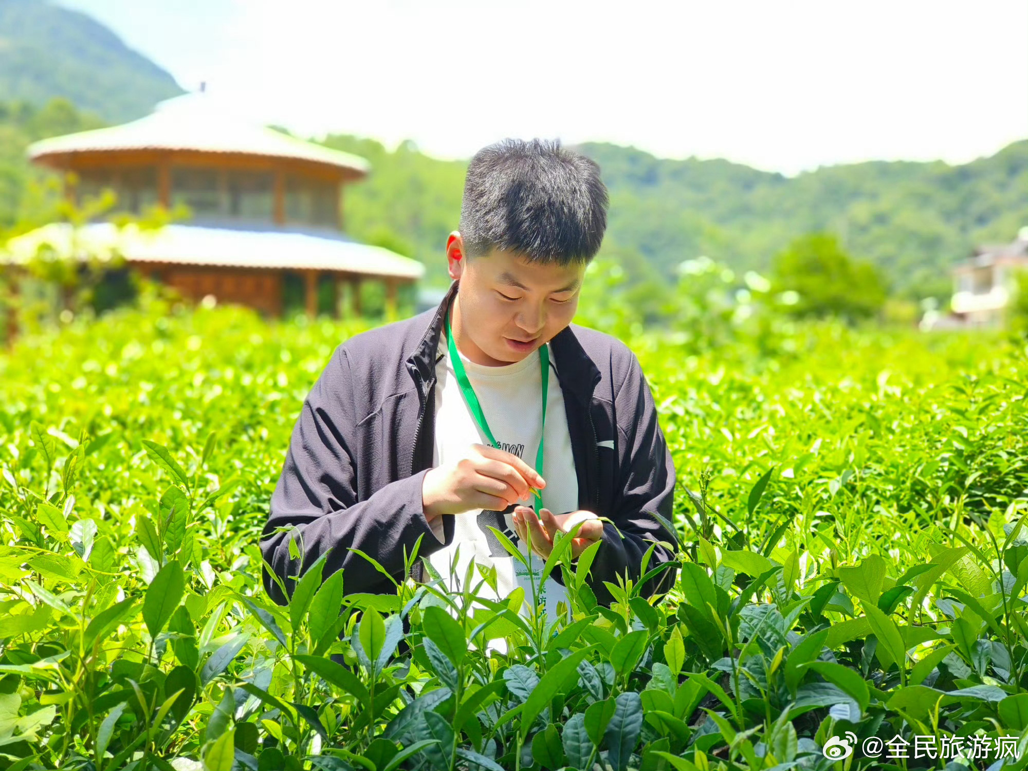甘肃阳坝林下生态经济 【生态优先多元产业协同发展】 阳坝镇并未将希望寄托于单一作
