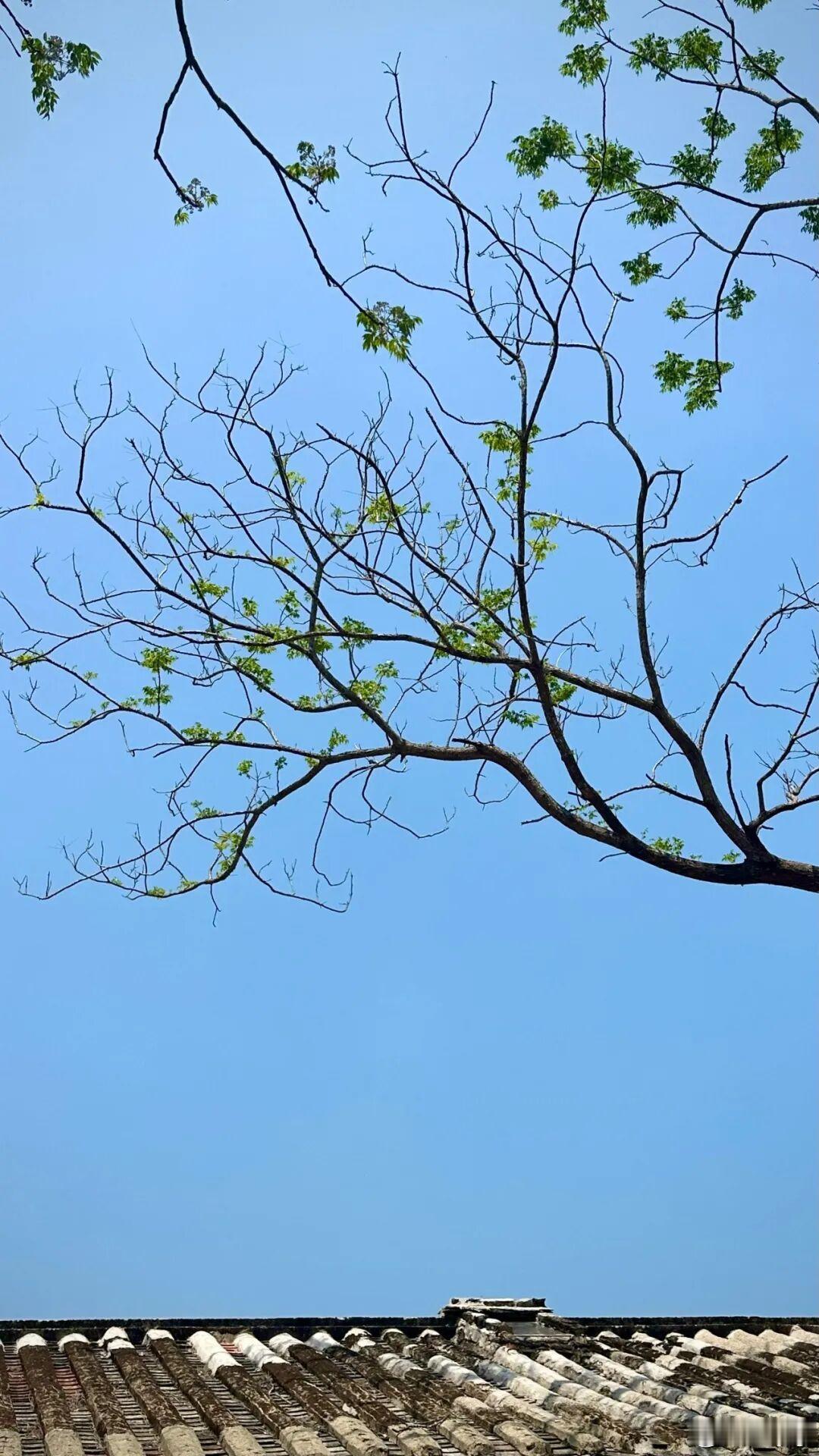 你呀你别再关心灵魂了，那是神明的大事。你所能做的，是些小事情，诸如热爱时间，思念