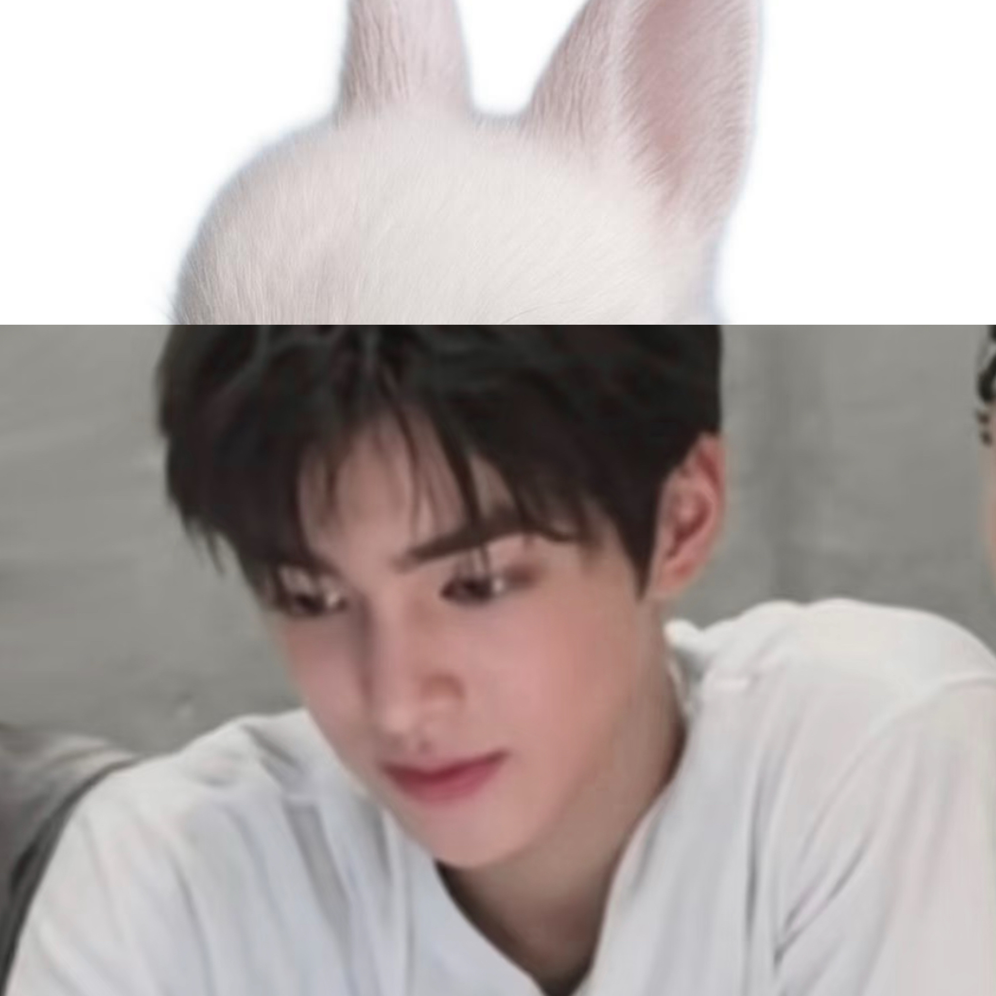 你被分配到的是我这只小兔子我可以直接拥有你的全部因为你只有我一只小兔子 