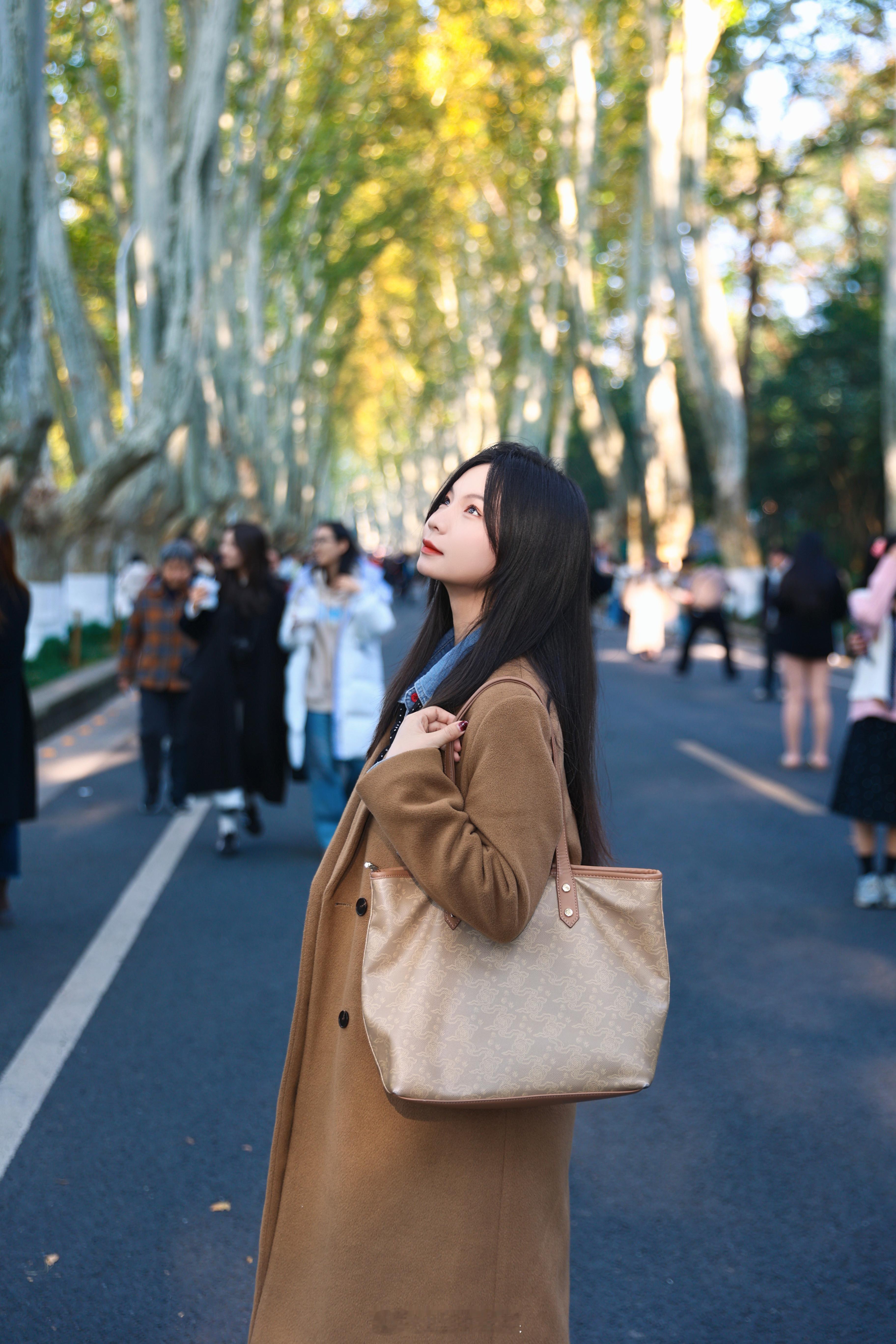 树是梧桐树 城是南京城 