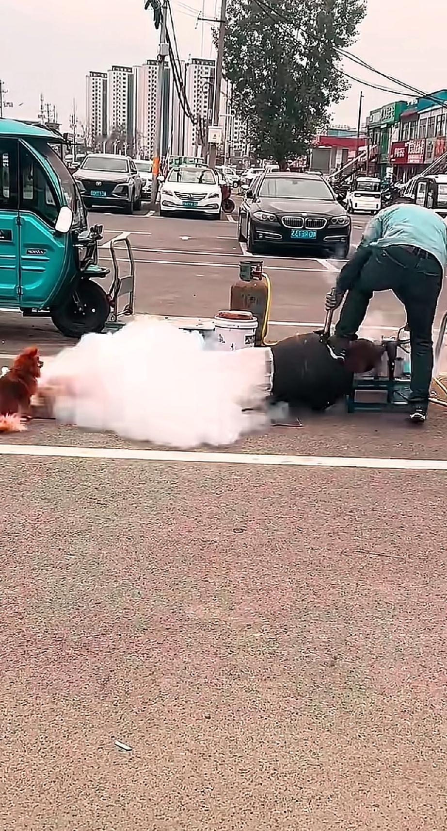 大黄：这就是爱看热闹的后果[流泪]