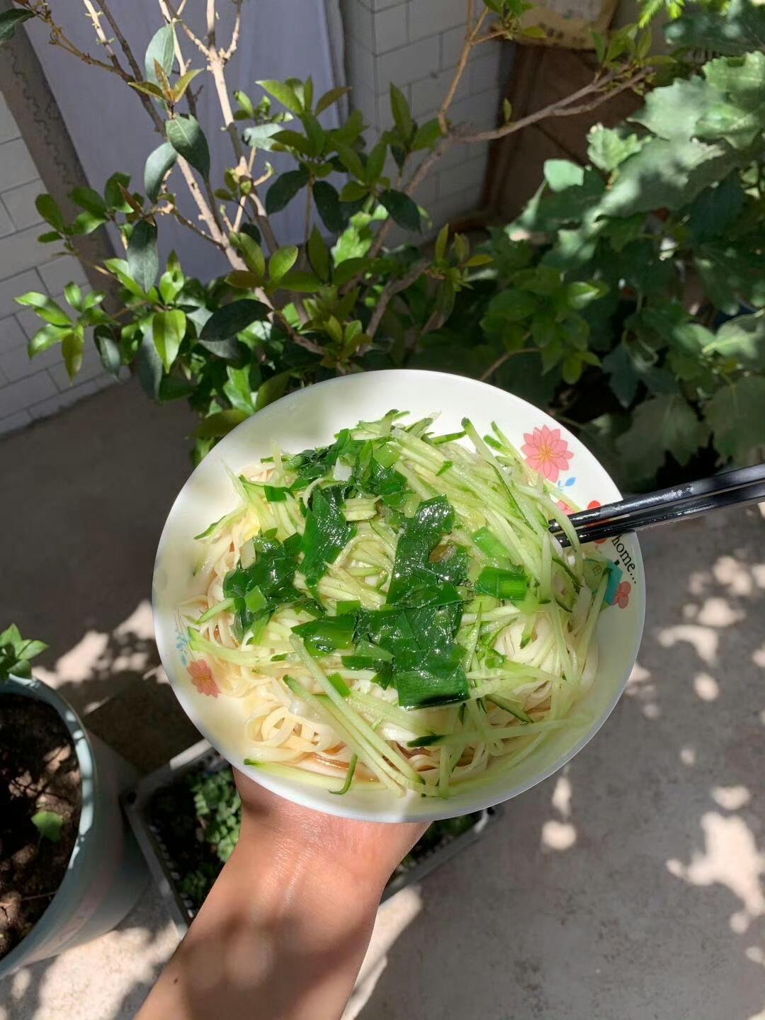 老家朴实平淡的日常