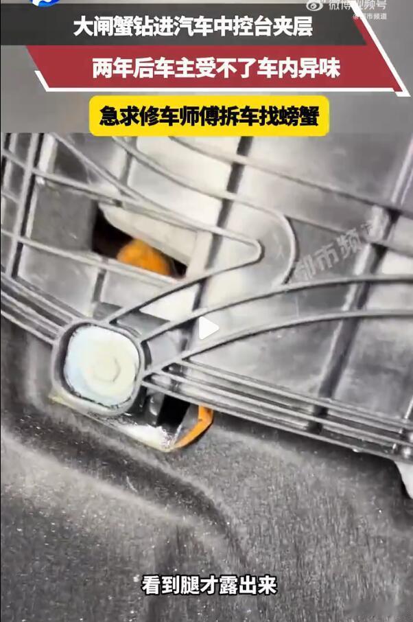汽车并不是一个密封的空间，不管是从车外还是车内。比如说，底盘就有很多的空间，发动