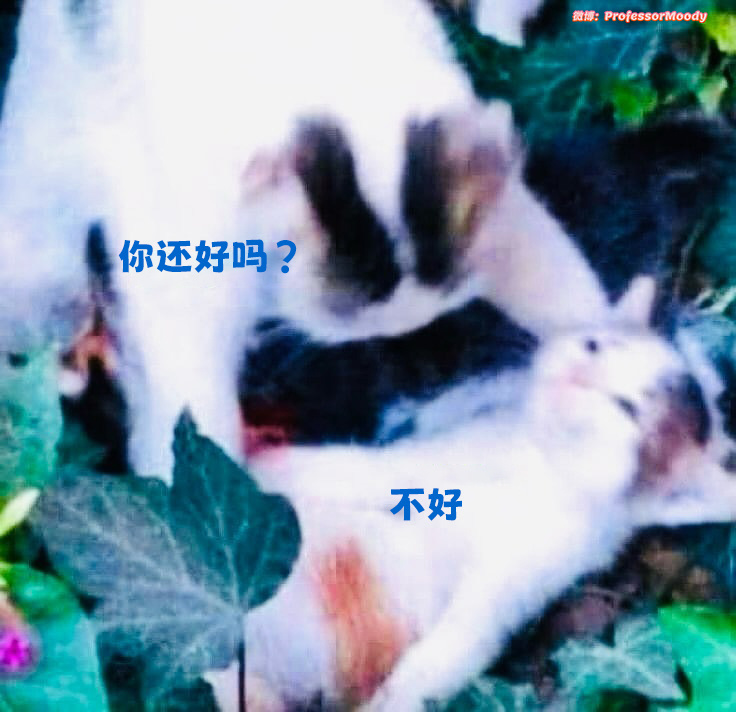 - ​​​