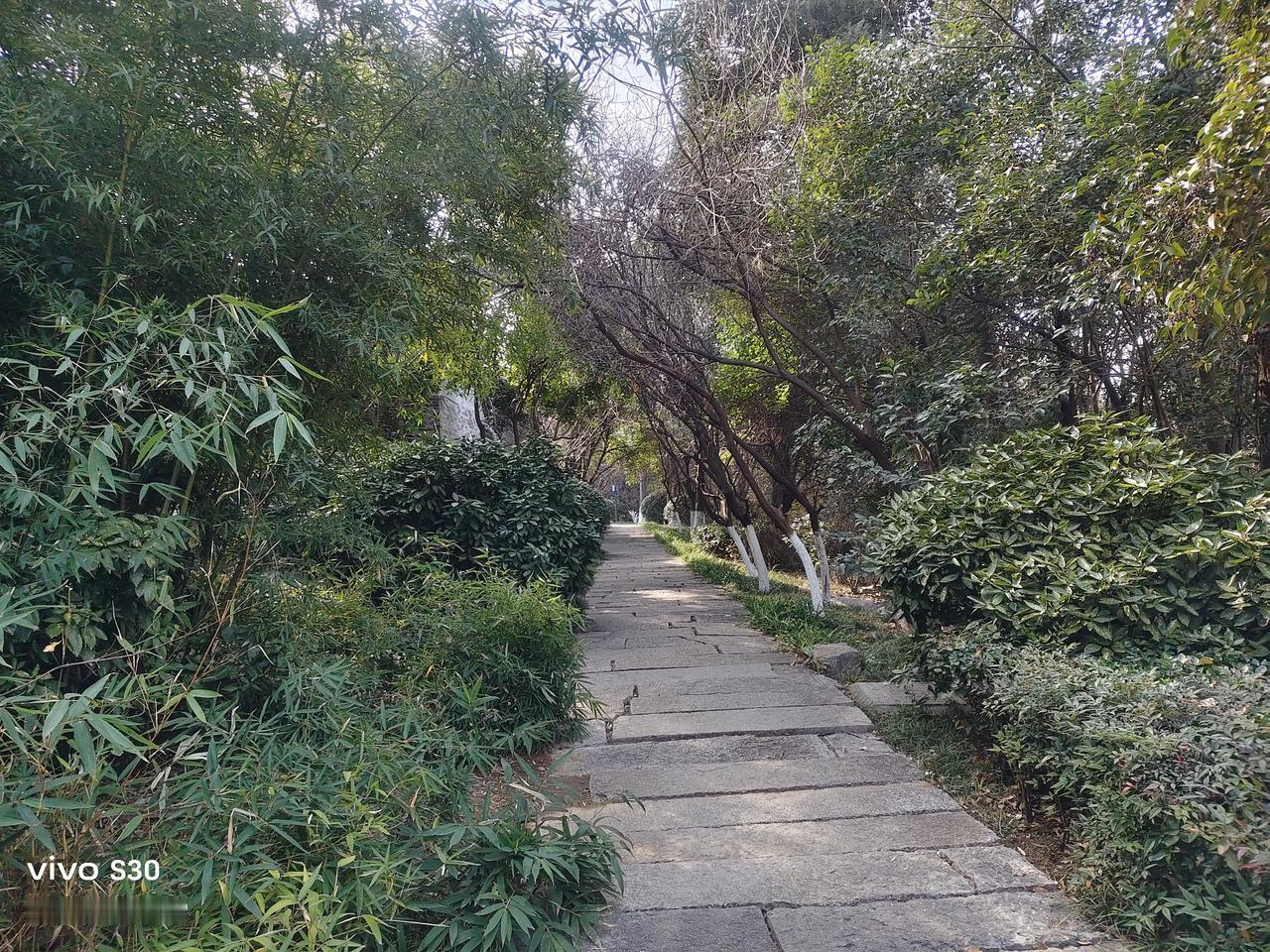 对诸葛亮一生的评价，用“开局战略留隐患，鞠躬尽瘁难回天”概括挺合适。
诸葛亮未出