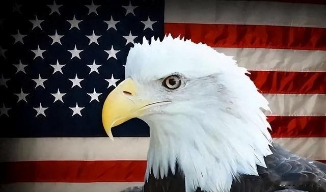 美媒：美国再次成为了唯一超级大国，中国本有机会，但如今输了。如果美国失去美元霸权