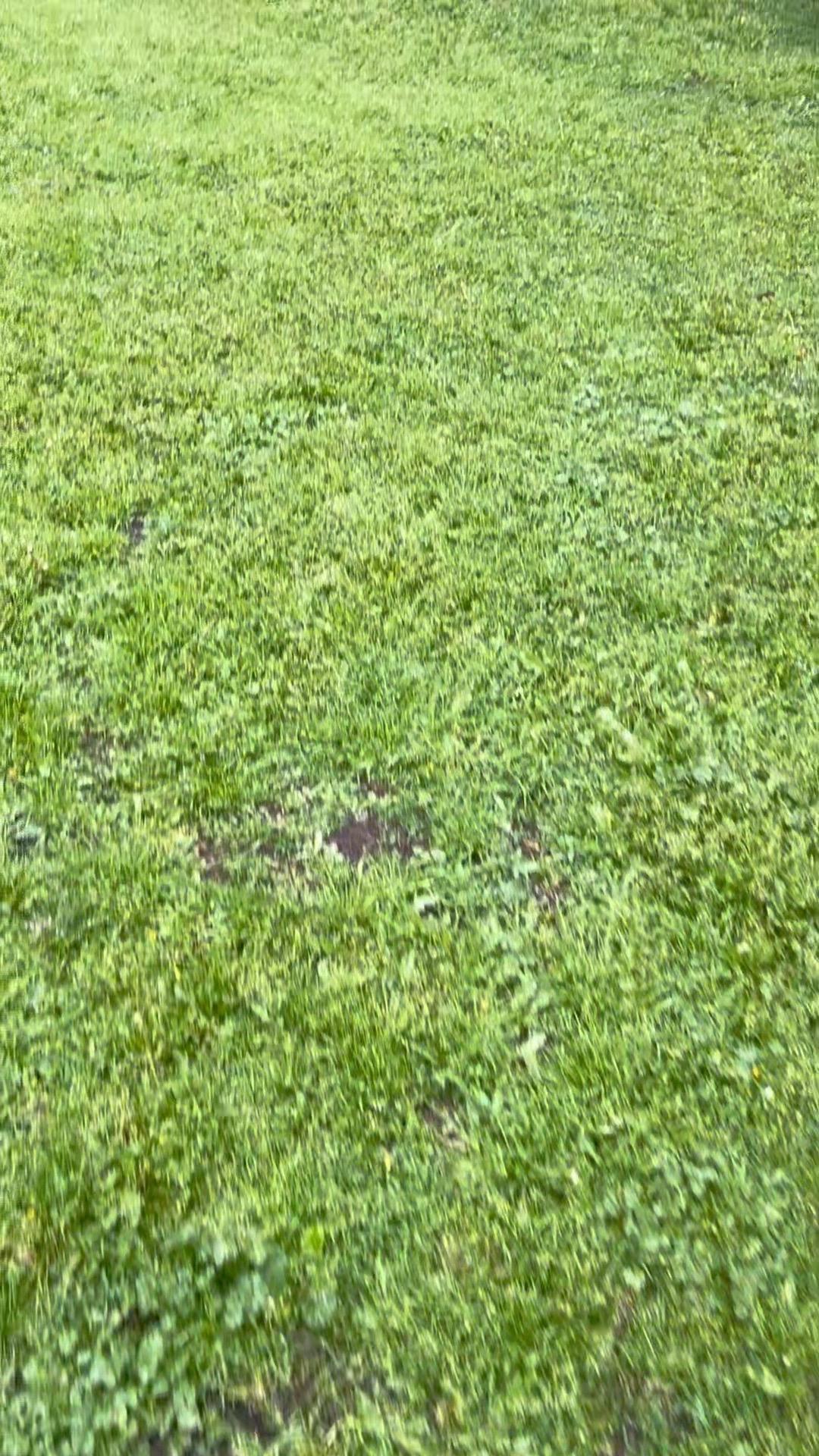 爱情和婚姻单靠神经递质是很难持久的 它的基座是经济独立、人格健全  以...