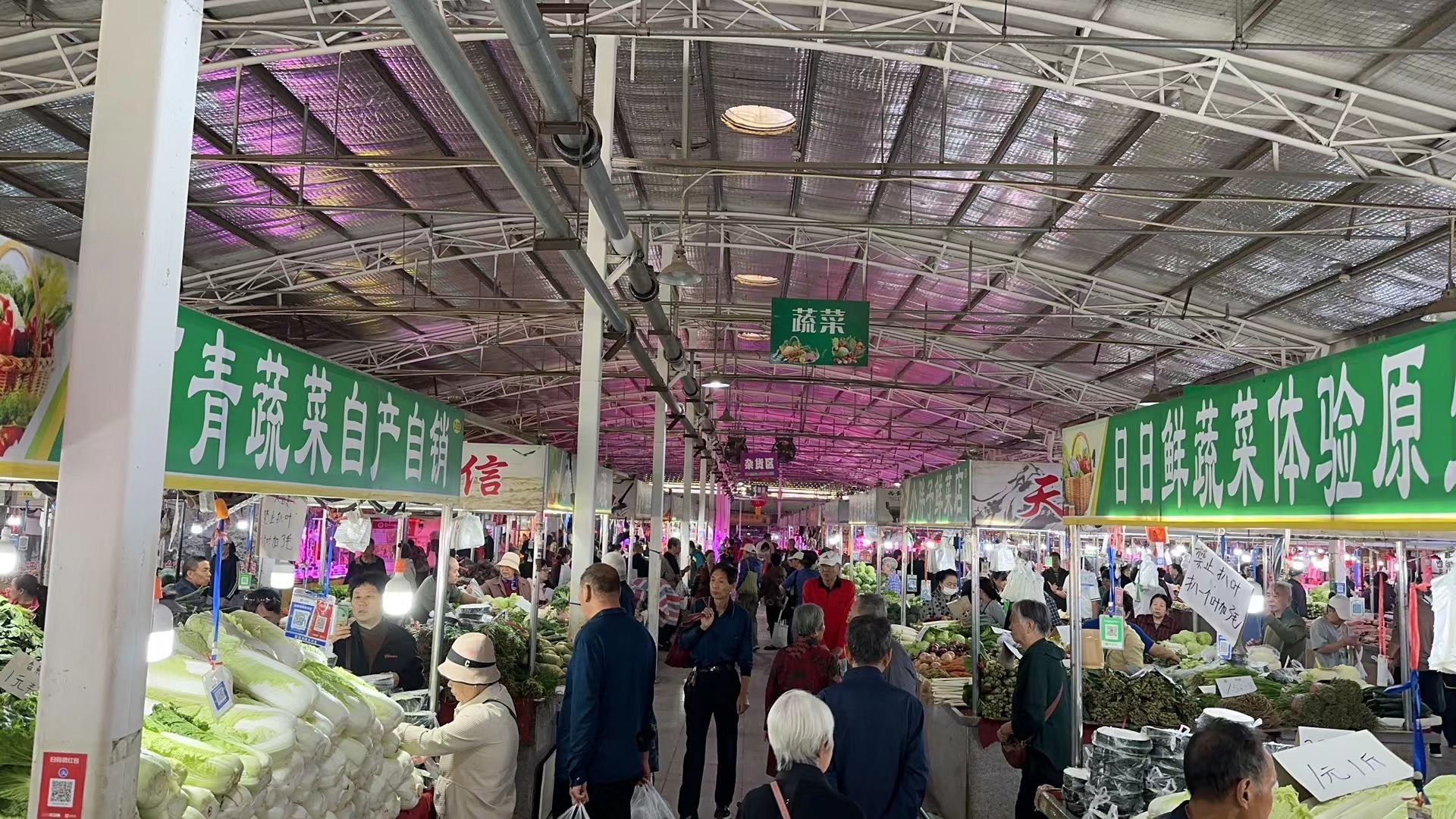 看来“禁止扒叶”的规则，是南北都一样。 ​​​