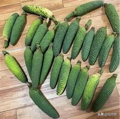 这是什么东西？