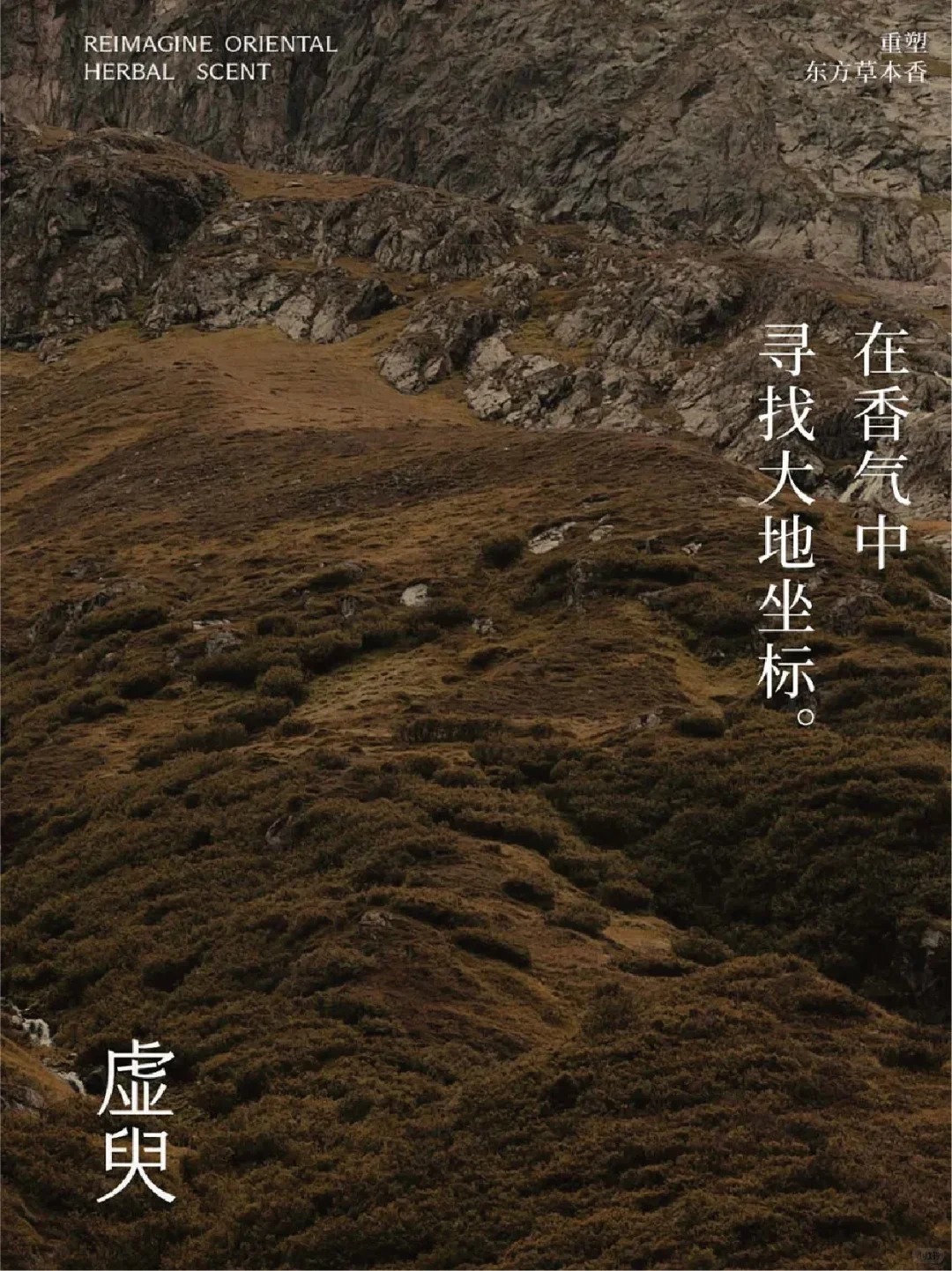 设计美学 棕色调海报 