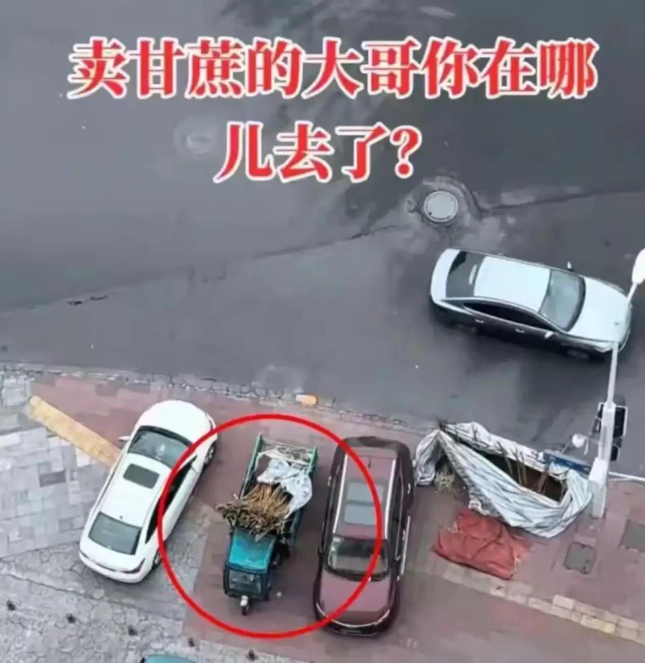 甘蔗枯成木头，全网急寻摆摊大哥！这一幕，让无数人破防
 
四川，男子发现楼下卖甘