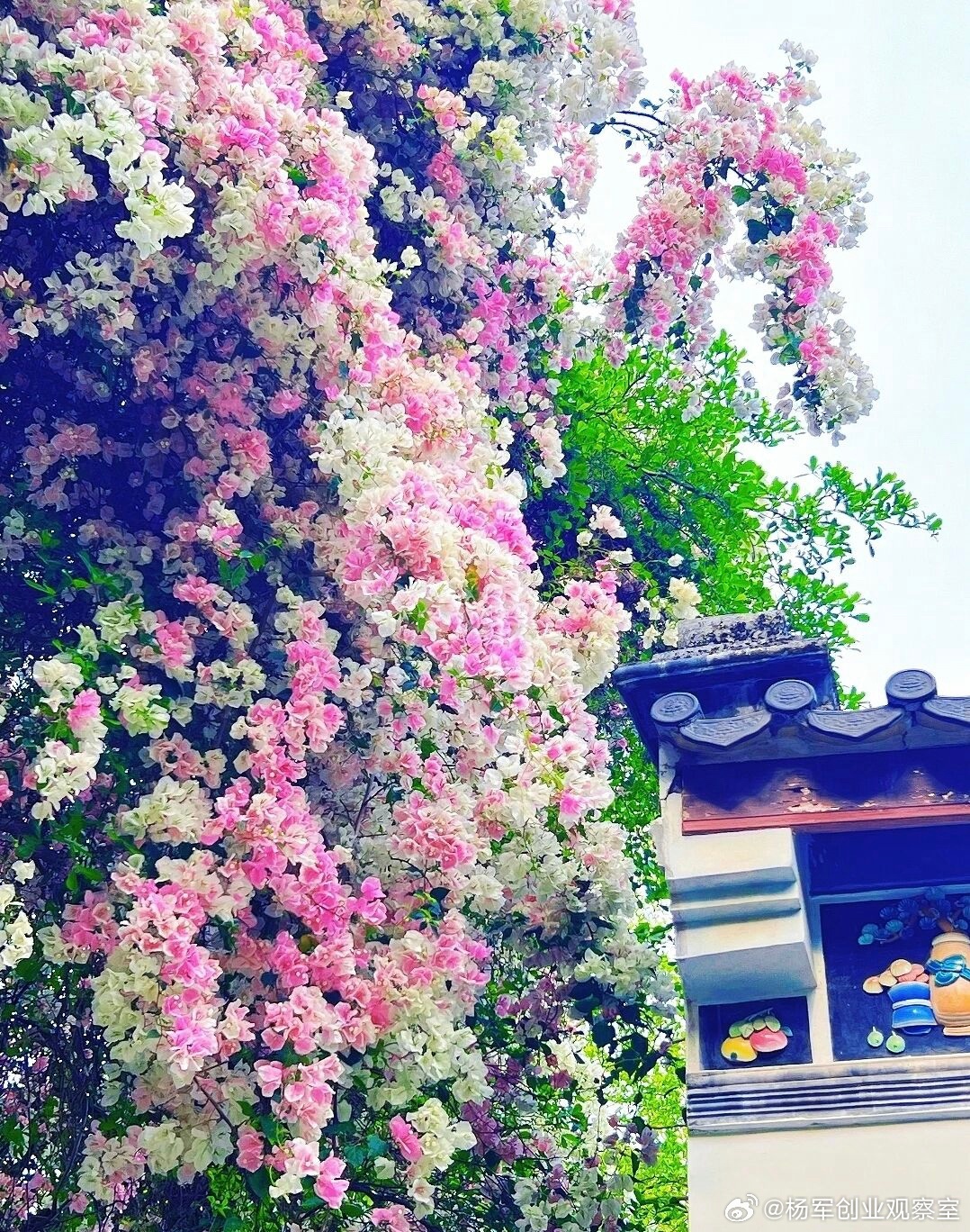 合伙人查账，能带人抄走公司的文件吗？法律规定明确，但很多细节在操作时，能决定成败