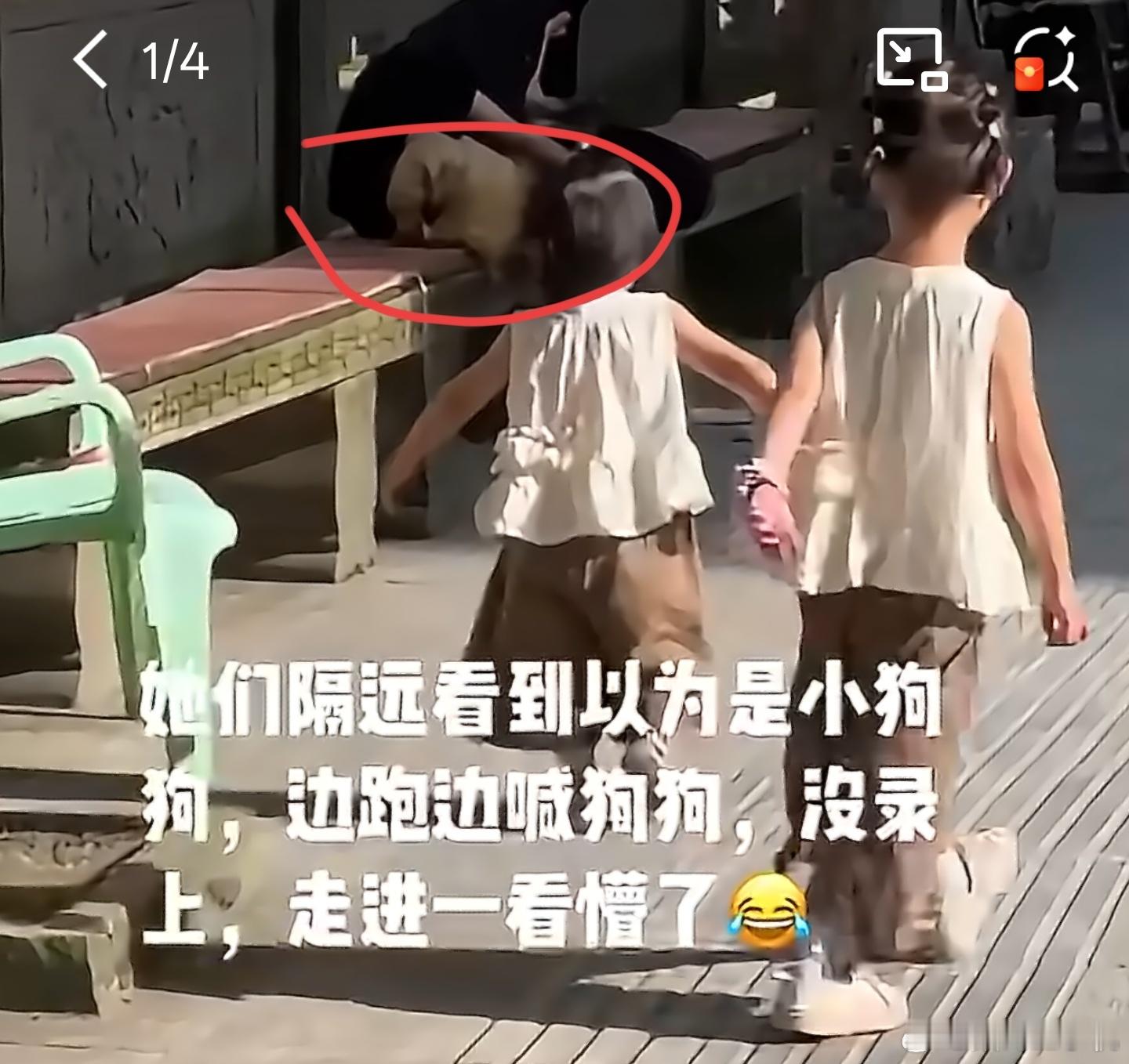 小朋友误把黄头发认成小狗乍一看我也以为是个博美啥的狗狗，走进才看清是个黄毛小伙子