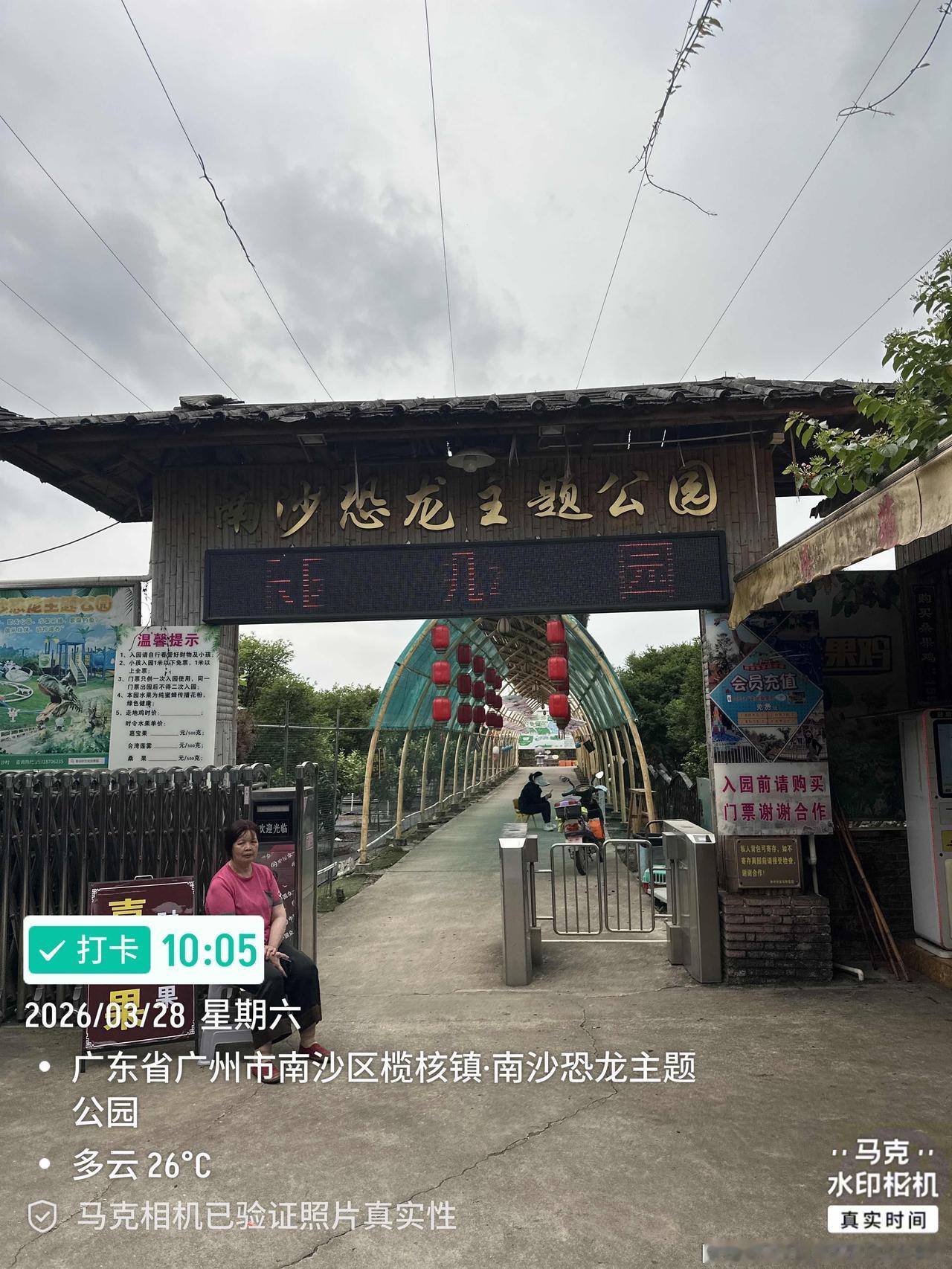 今天继续“香云纱文化创意园”采摘水果兼露营，上次主摘水果嘉宝果，这次主摘水果桑果