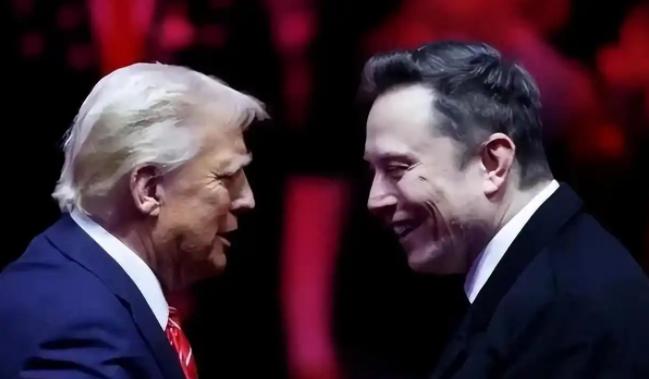马斯克终于累了，他明确表示：要找一个安全的国家，不会被袭击的国家，然后夜晚可以走
