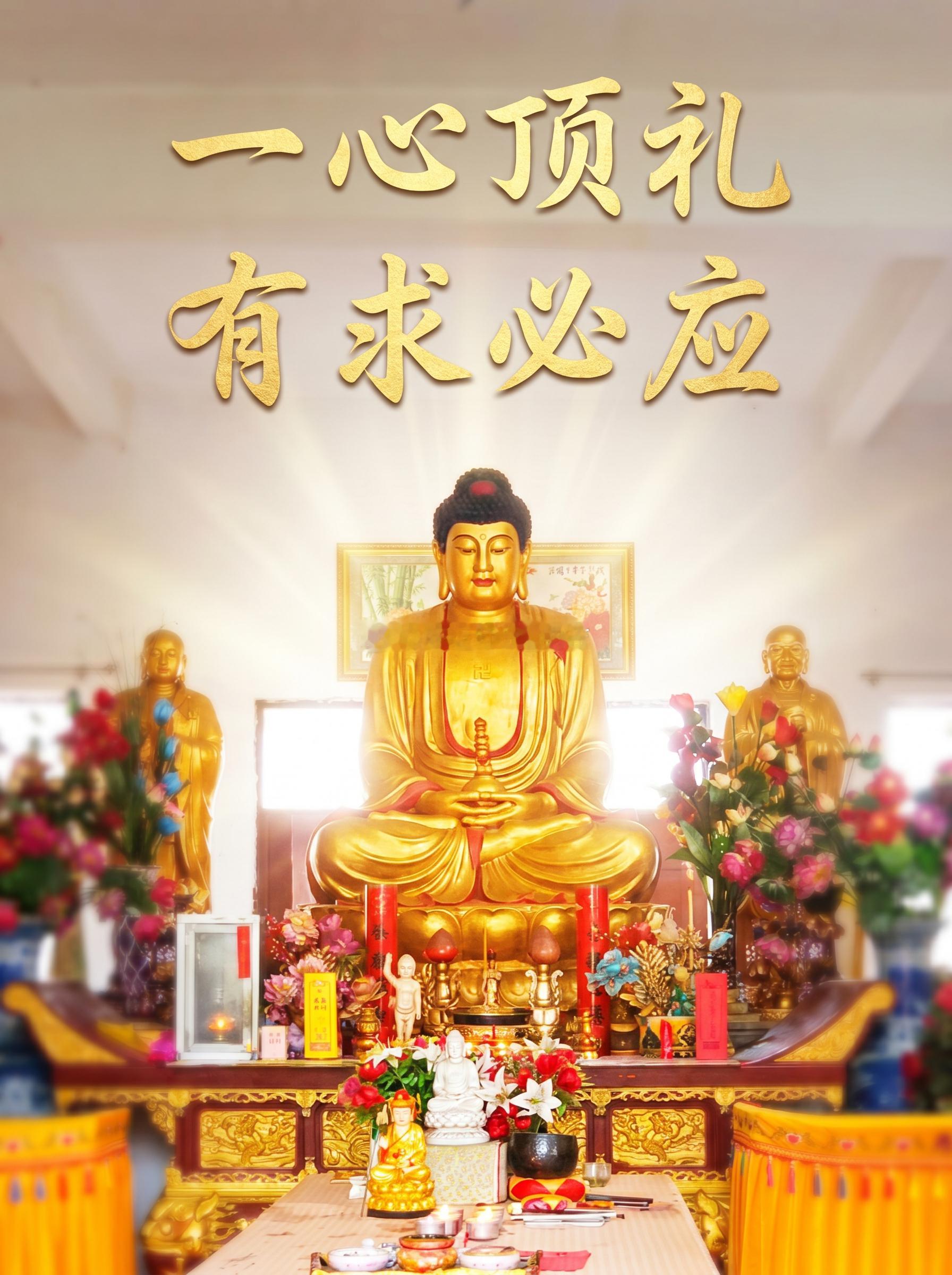 今日七月初一，香期吉日，是一个祈福纳吉的好日子，留下你的祈愿和祝福，师兄帮大家好