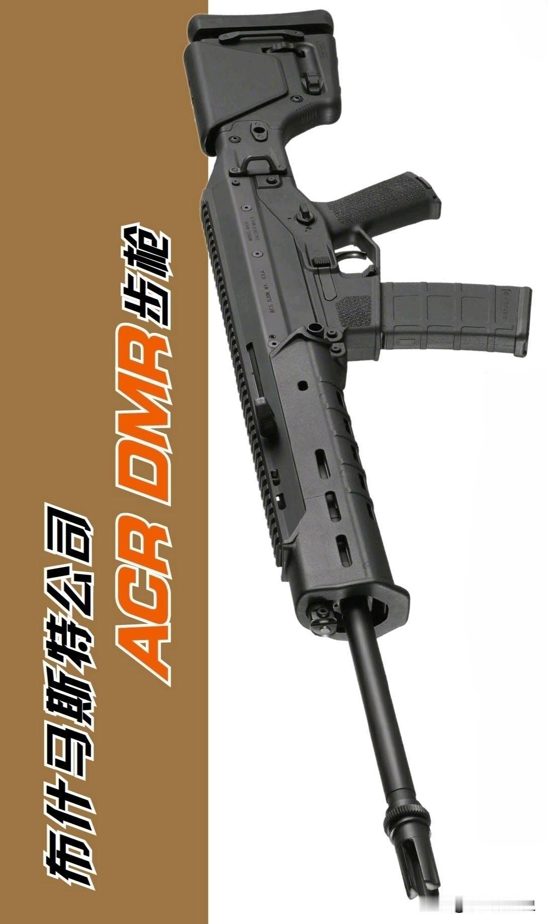 布什马斯特公司ACR DMR步枪
布什马斯特ACR家族又添实力派新成员，ACR 
