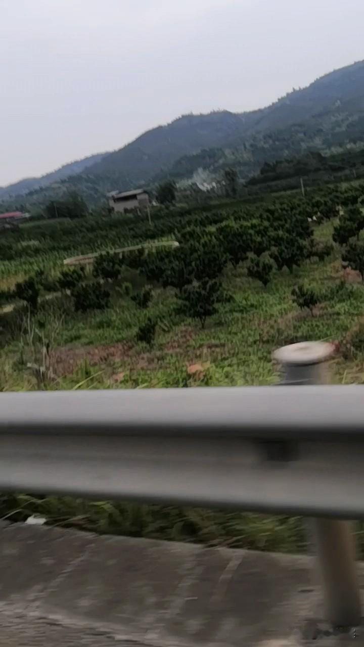 近日前阵子走在成都市金堂县，从汤家沟隧道一路下坡到金堂大道淮口段。过了去赵家丁字