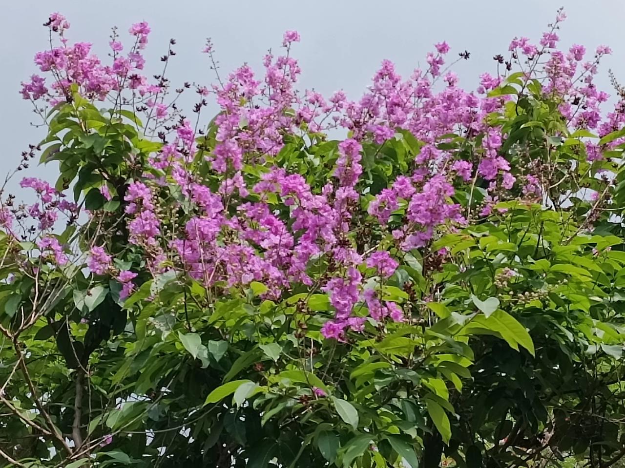 我认为该