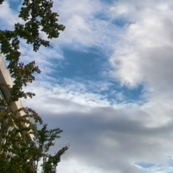 每日一善[超话] 🍀阳光信用🍀每日一善为什么我们越长大，越孤单，越不安，越不