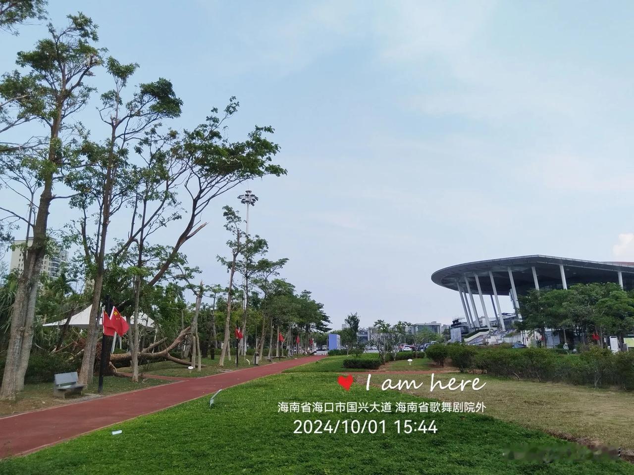 海口城市“一树”展
​地点：海南省海口市国兴大道文坛路口东侧，草坪内休闲道，近处