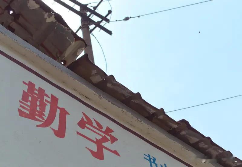 命运这东西，改变起来可没那么容易。就像有人出身在富裕家庭，从小资源丰富，接受优质