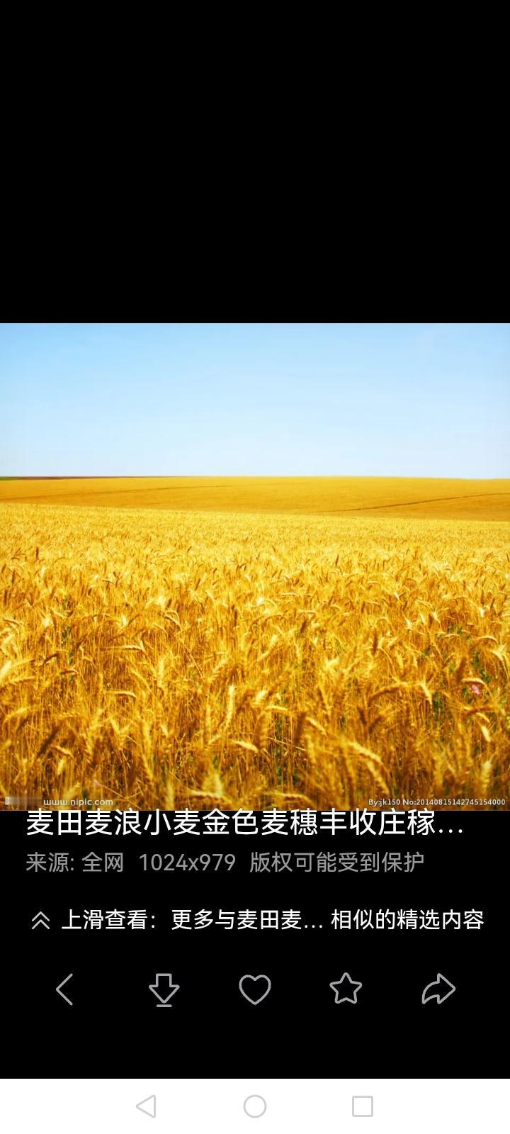 网评大量饺子被扔垃圾桶我当了一辈子农民，始终相信一句话，一个人来到这个世界上，老