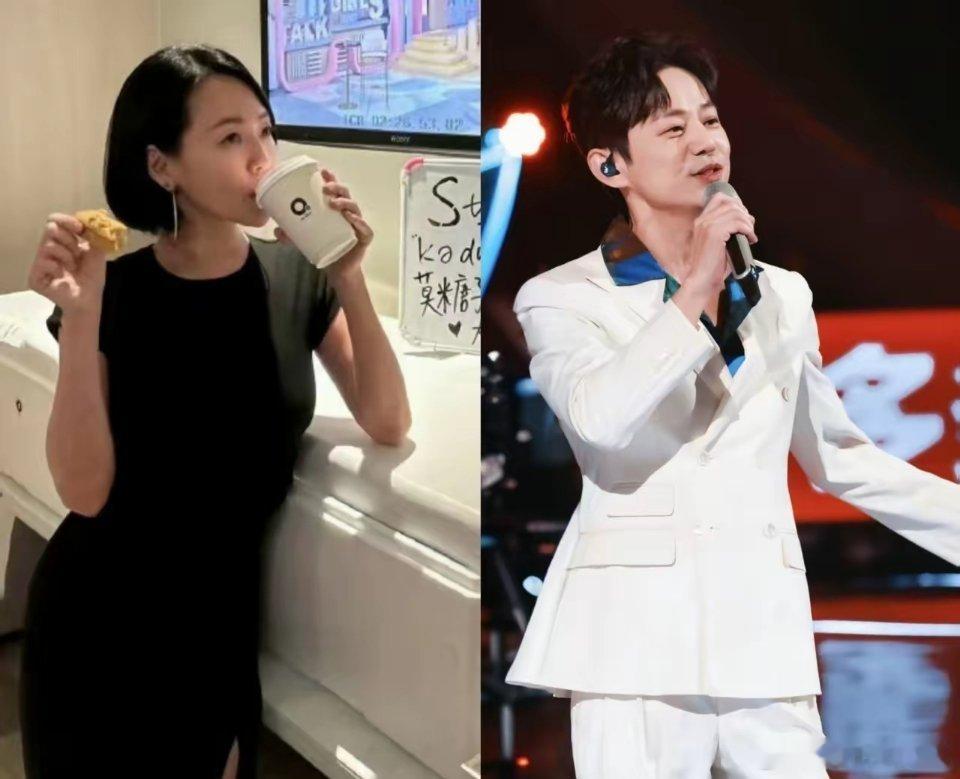 谢娜的危机感也应该要来了吧？话说小S将搭档何炅主持《声生不息宝岛季》要是转战内地