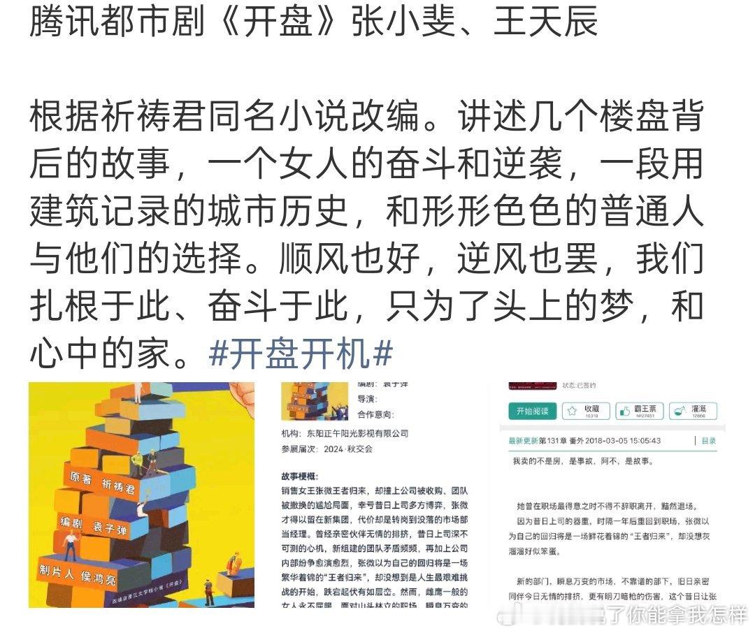 王天辰靠啥飞升的？ 