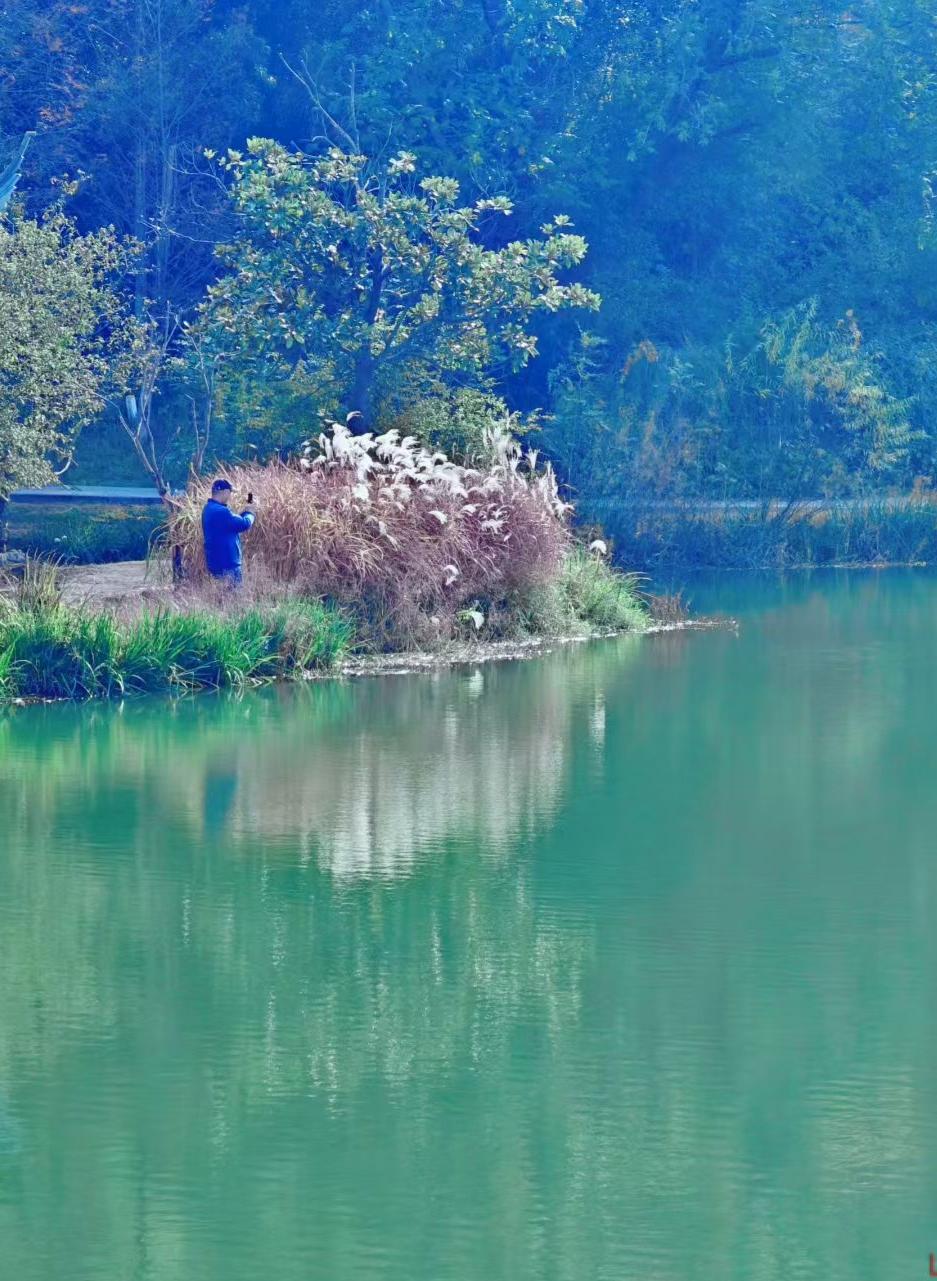 秋光把叶子染成透亮的黄，风裹着暖意往衣领里钻。并肩踩过落满金箔的路，连远处的山影