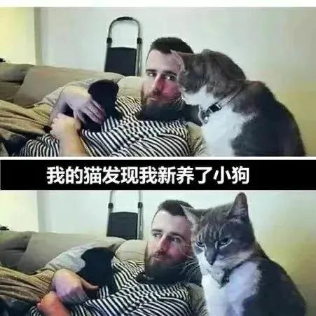 小黑要倒霉了[捂脸]