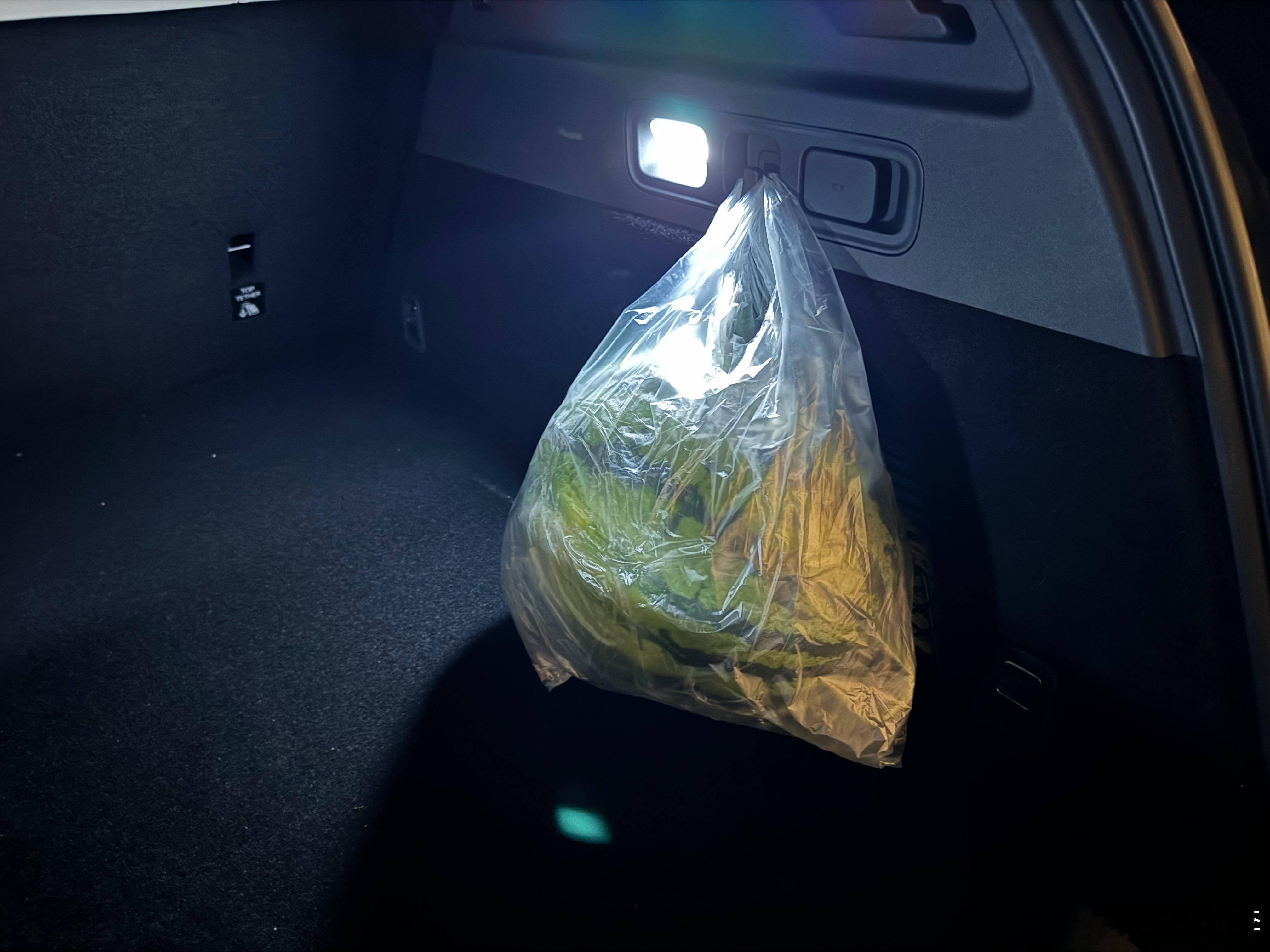 无论什么级别的车，车内的基础功都不能因为价格的变动而丧失。就比如这个挂钩，我真心