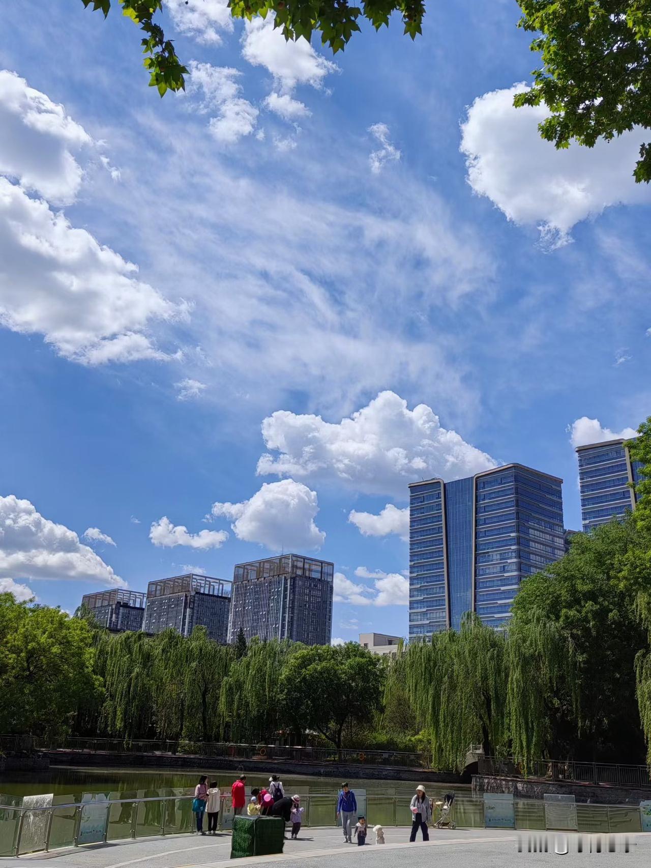 白云白云，你慢点走