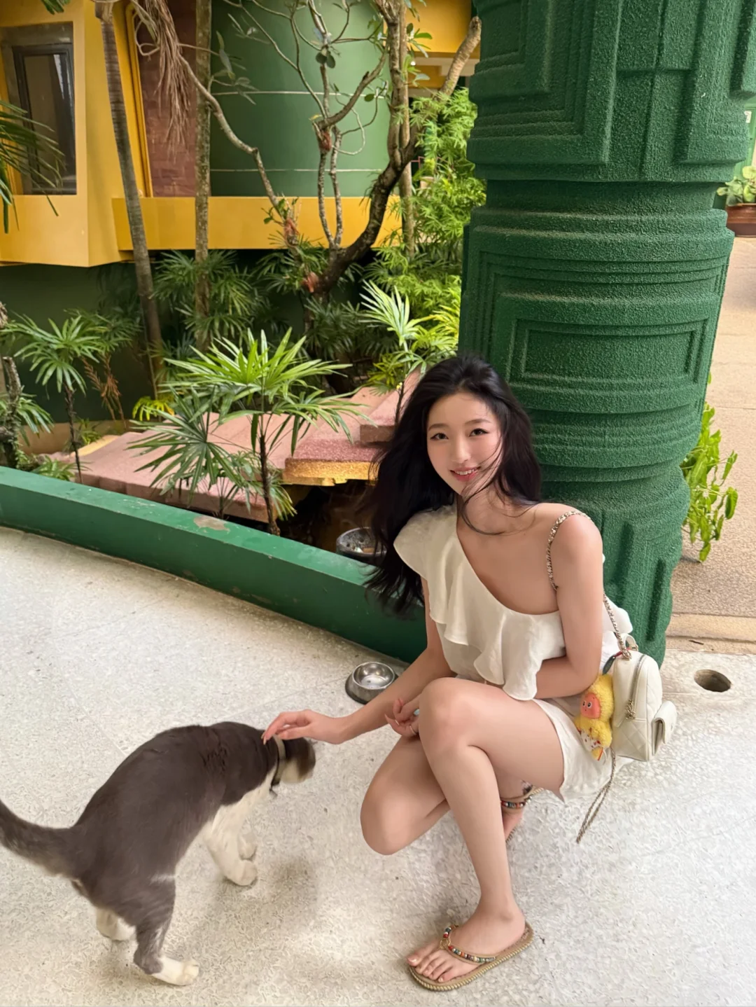 hi🐈