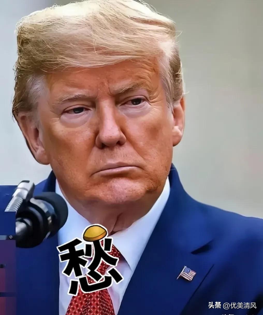新消息！
 
2026年9月23日，根据财联社等多家媒体报道，能源数据机构Kpl