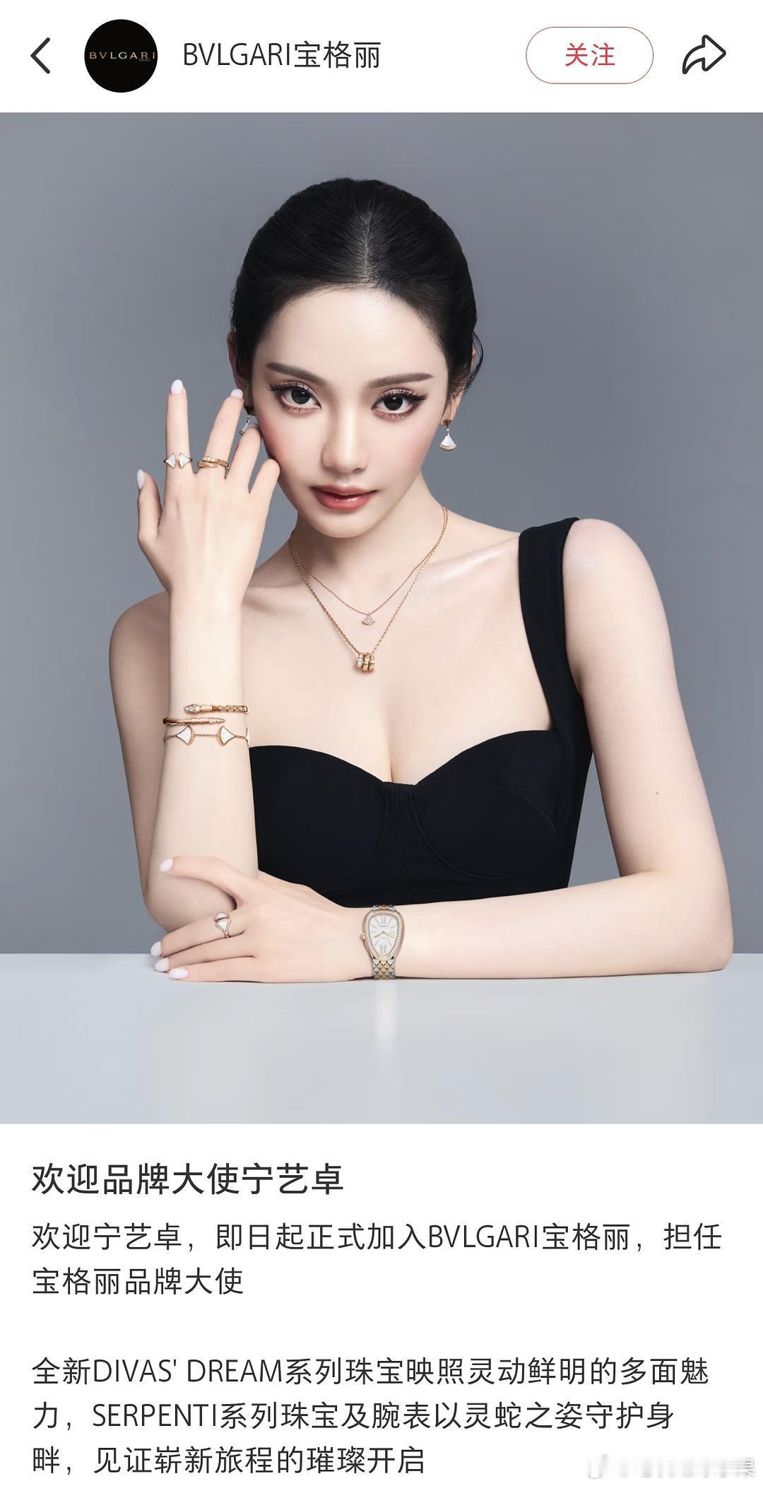 宁艺卓 宝格丽品牌大使 与张元英同升咖位 目前柳智敏合作状态待定宝格丽 宁艺卓张