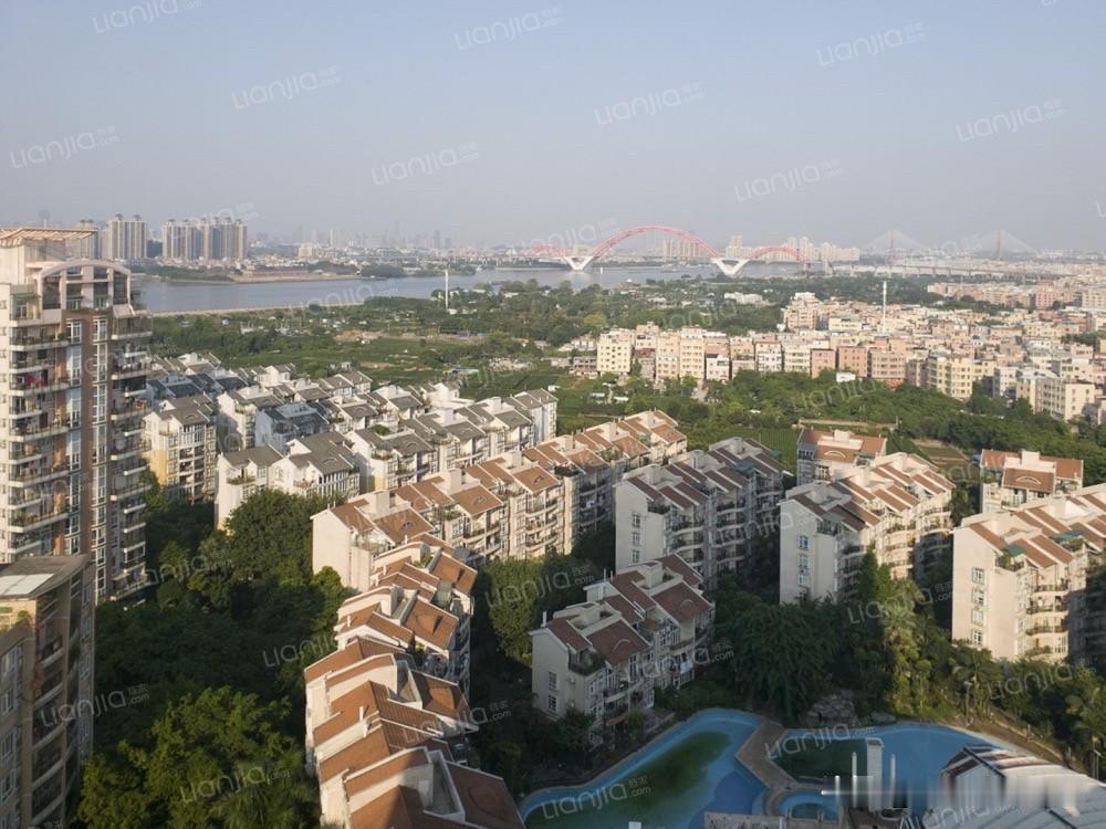 从372万跌到183万，番禺洛溪的广州奥林匹克花园，现在能抄底吗？

有读者问番