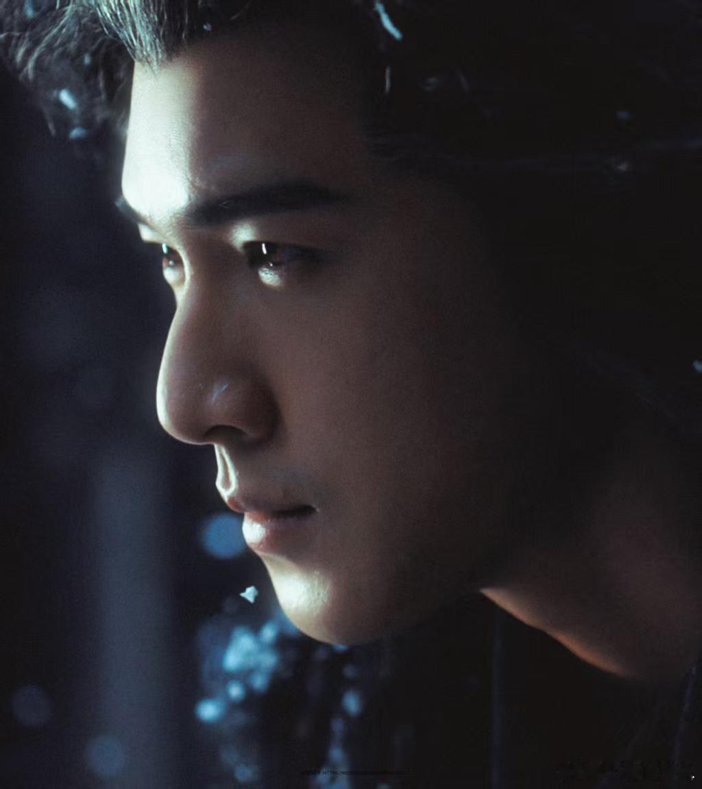 李昀锐诸葛玥青山院身份下是温柔底色诸葛玥外表清冷，内心却很温柔细心，待人温和有分