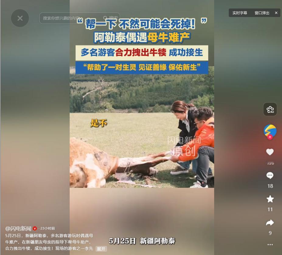 5月29日大皖新闻报道，信号时断时续的草原上，一场跨越千里的接生正在进行。游客的