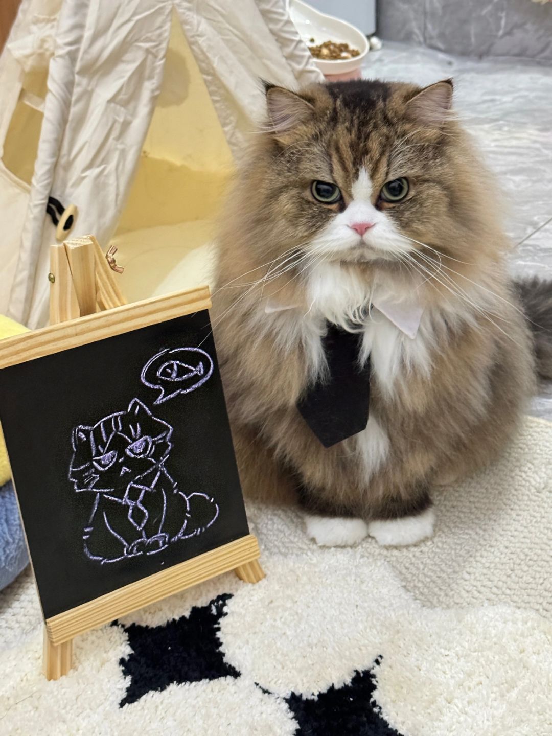 臭脸猫猫x2