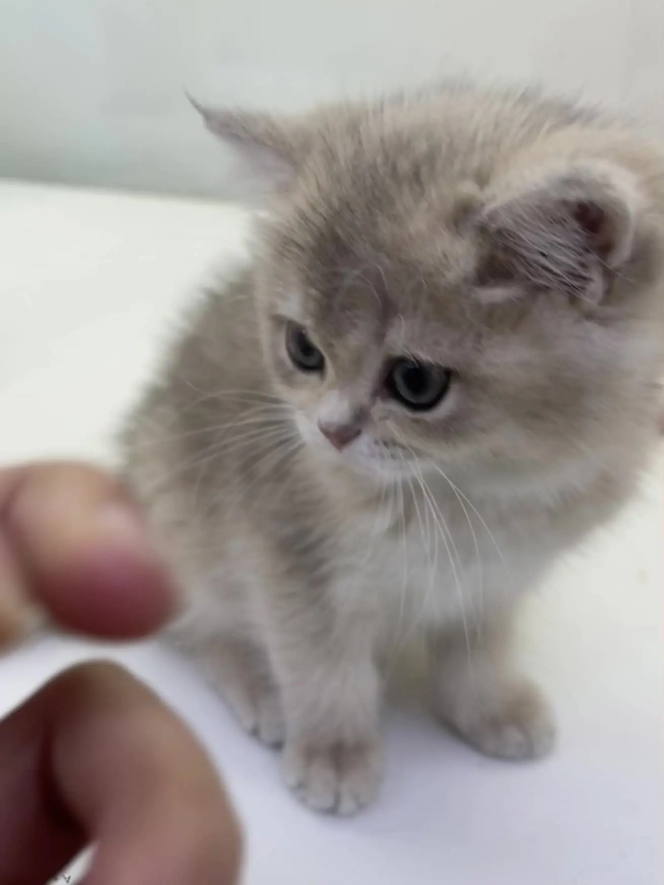 宝宝 你是一个香香软软的小蛋糕