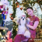 霍思燕爱犬在国际比赛夺冠 这次的胜利是努力与爱的最好结合，霍思燕与爱犬共同创造了