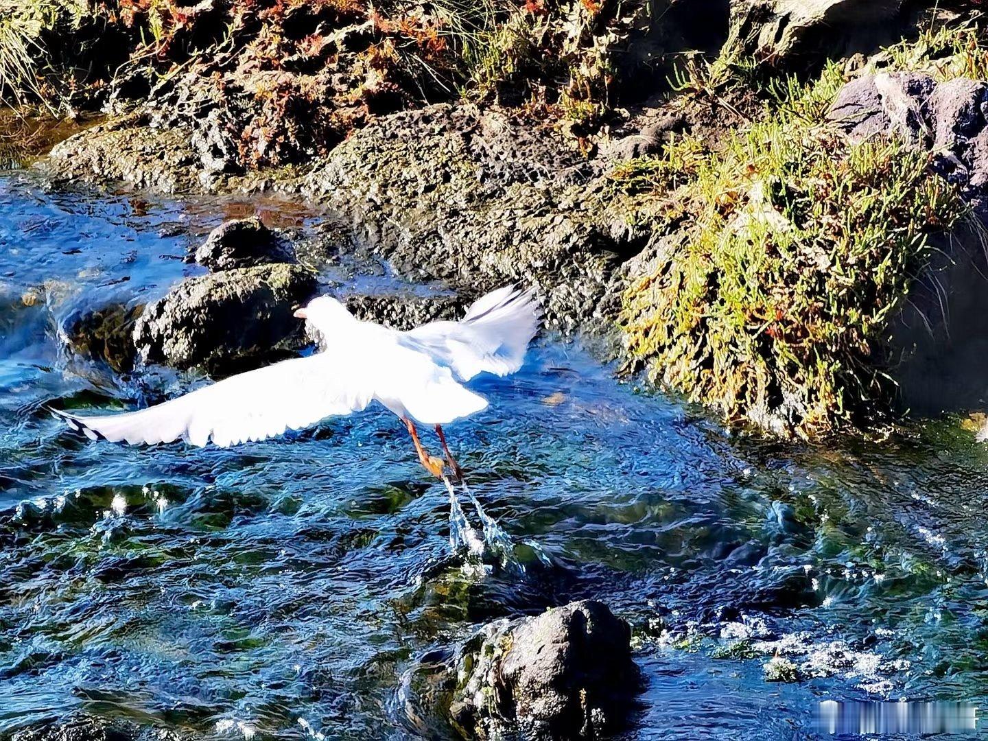 年度旅行记忆  在时光的浅滩上，邂逅这方水泽人家，仿若误入尘世的桃源。泽水悠悠，