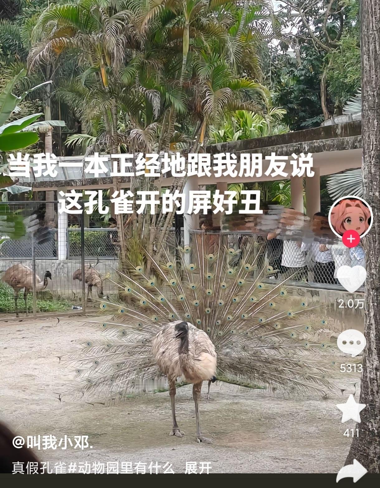 服了这些网友的嘴哈哈哈哈哈哈哈哈哈 ​ ​​​