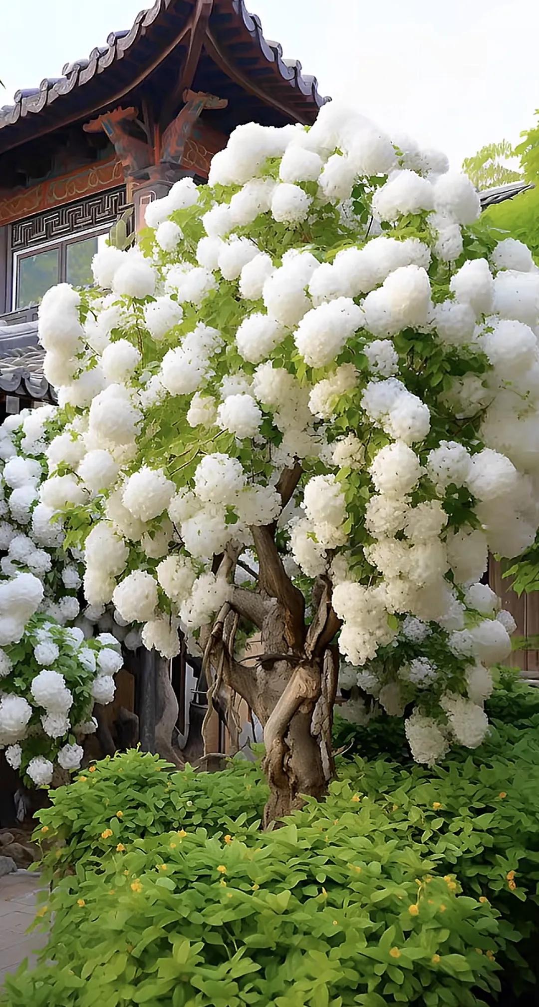 过错是一时的遗憾，错过是一生的遗憾风景 不等枯树开花了 一棵会开花树