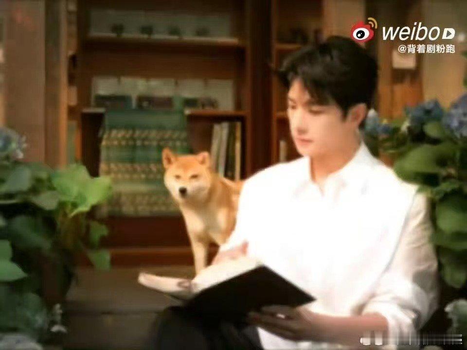 杨洋夏天的第一口冰淇淋掉了杨洋看到冰淇淋掉了的反应意外来得猝不及防，夏天的第一支