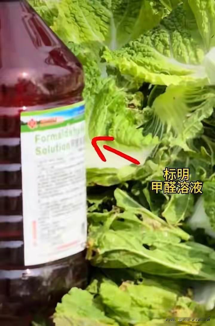 我盯着那张视频截图看了十分钟，发现了三个细思极恐的细节。
第一，那瓶"甲醛溶液"
