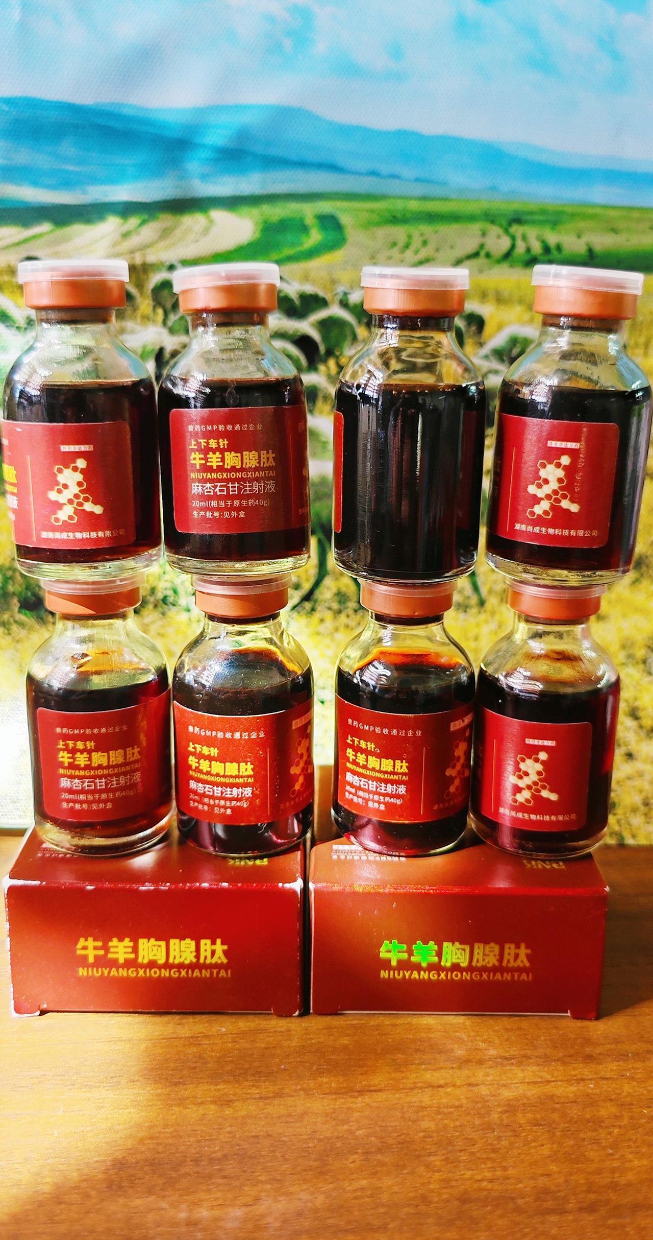 养羊人 农村养羊 牛羊养殖