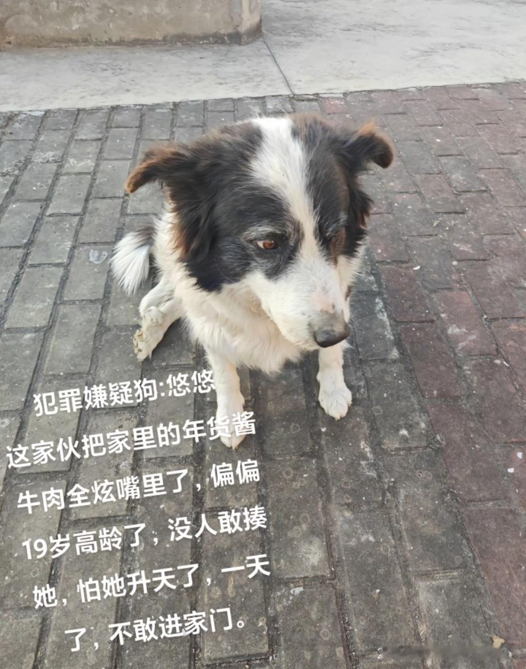 因为年纪大了，免了揍[笑cry] 
